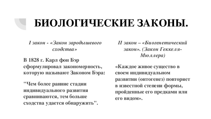 Тема биологические законы. Биологические законы. 5 Биологических законов. Биологические законы примеры. Законы Хаммера биологические.