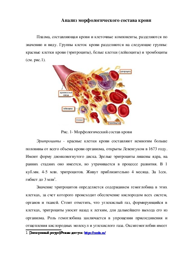 Анализ морфологического состава крови