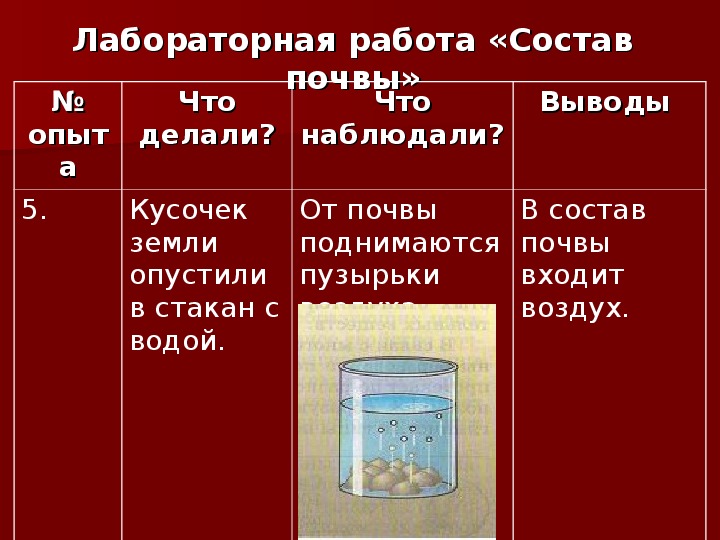 Почва 5. Лабораторная работа анализ почвы. Практическая работа исследование состава почвы.