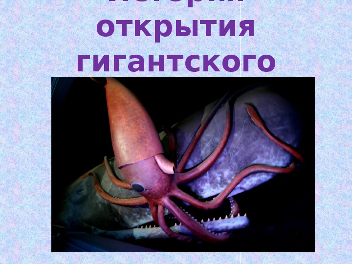 Презентация "История открытия гигантского кальмара"