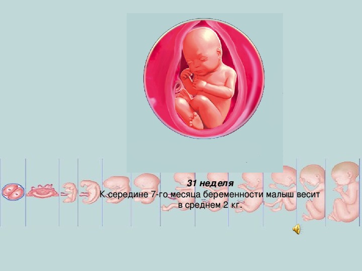 Беременность презентация 11 класс