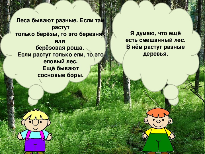 Иногда видишь что далеко от леса растут молодые дубки схема предложения