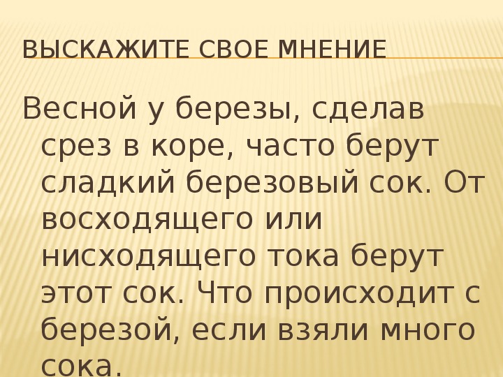 Брал ток. От восходящего или нисходящего тока берут сок у березы весной. От восходящего или нисходящего берут берёзовый сок. От восходящего или нисходящего тока берут этот сок ?.