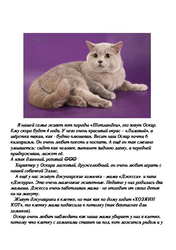 Текст описание про кошку 2 класс