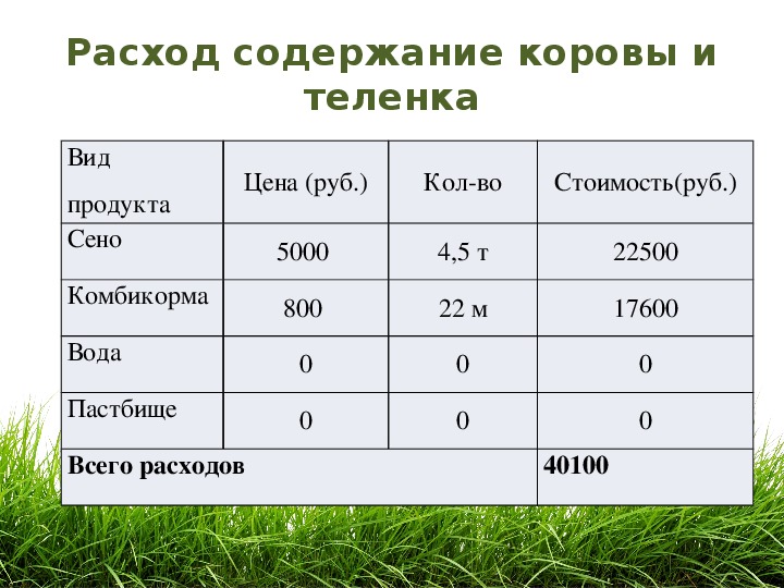 Выгодно ли держать корову проект