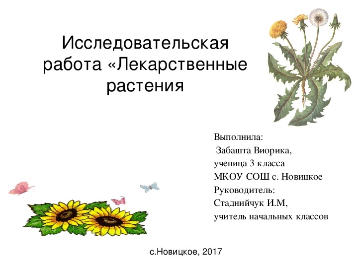 Исследовательская работа: Лекарственные растения в жизни человека.