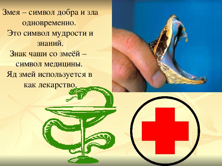 Змея значение символа. Змея символ медицины. Медицинская чаша со змеей. Медицинский знак змея. Чаша со змеей эмблема медицины.
