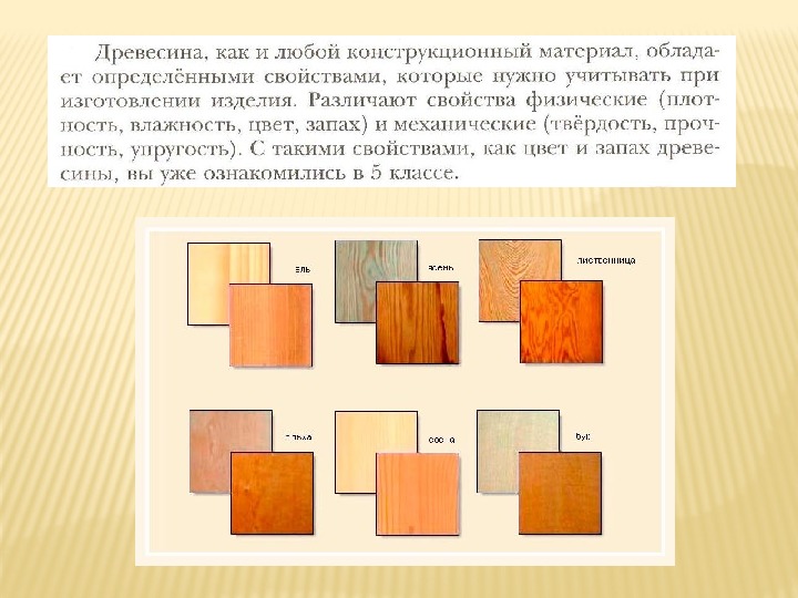 Свойства древесины 5 класс