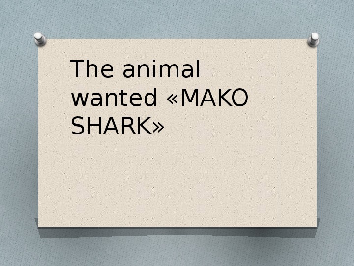 Презентация по английскому языку на тему The animal wanted «MAKO SHARK»