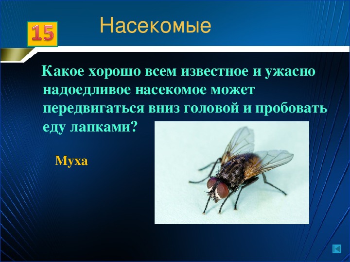 Тест по биологии многообразие насекомых 7 класс. Многообразие животных 7 класс биология. Презентация биология 7 класс.