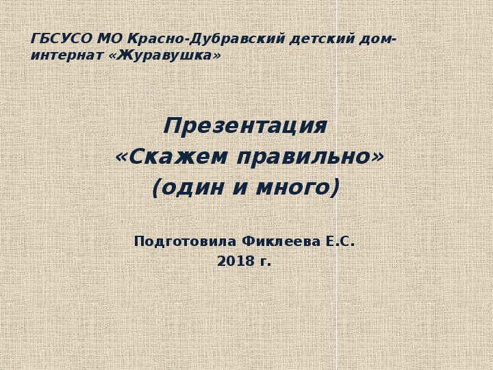 Презентация  «Скажем правильно» (один и много).