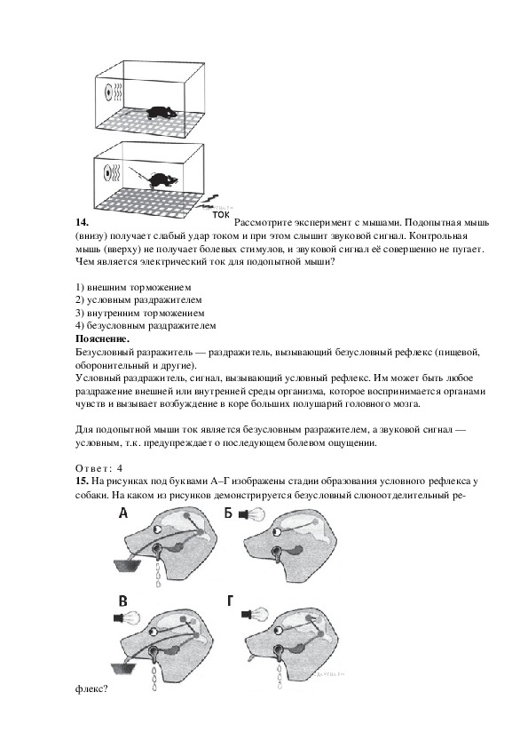 Рассмотрите рисунок на котором изображен эксперимент с мышами