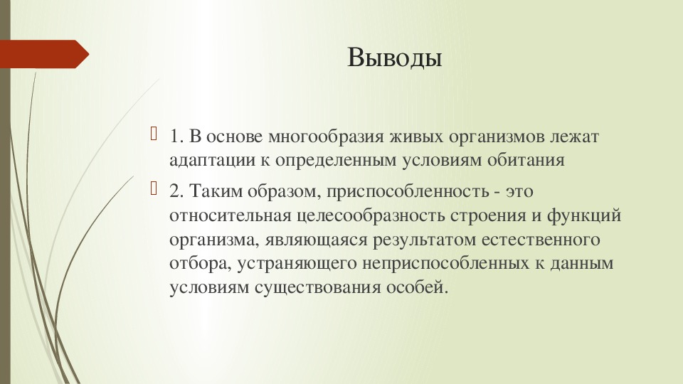 Что лежит в основе роста организмов кратко