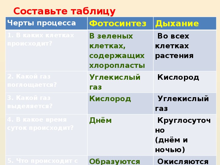 Дыхание растений 6 класс презентация