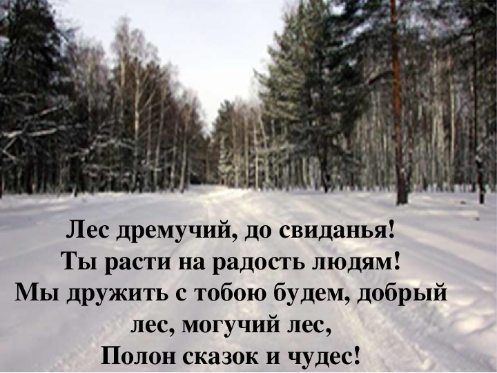 Стих я из лесу вышел. Текст зимний лес. Текст зима в лесу. Лес зимой текст. Текст про лес.