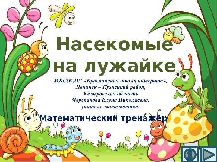 Обложка для материала Презентация по математике "Насекомые на лужайке.  Математический тренажёр"