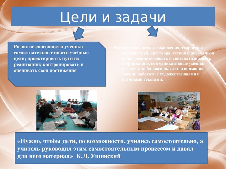 Презентация обобщение опыта по теме «Опыт использования проектно – исследовательской деятельности  младших школьников »