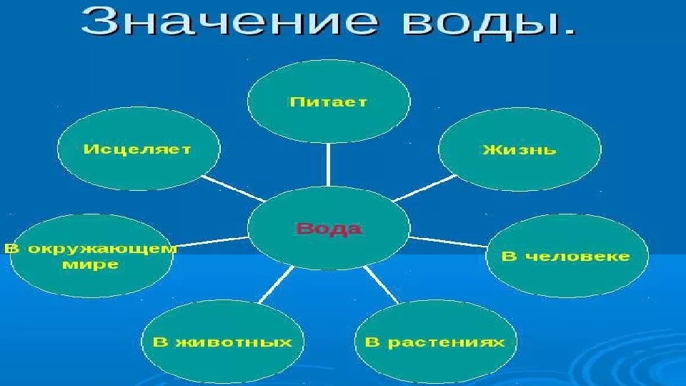 Презентация по естествознанию