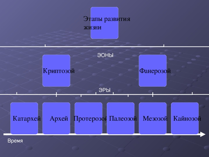 Схема развития жизни