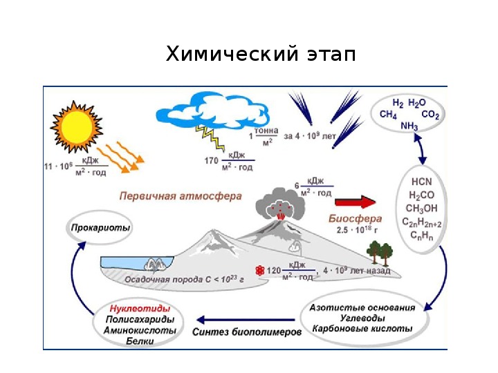 Происхождение жизни на земле схема