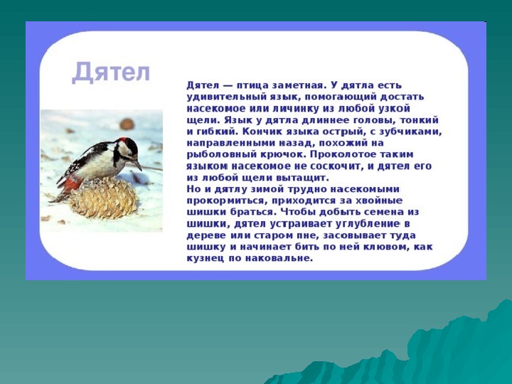 Утро в степи диктант 3 класс. Диктант дятел. Диктант дятел 4 класс. Диктант дятел 3 класс. Диктант по русскому языку 2 класс дятел.