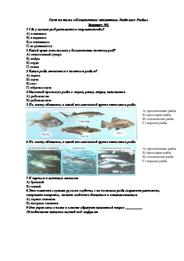 Тест по биологии на тему "Надкласс Рыбы" (7 класс, биология)