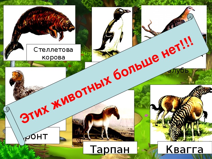 Охраняемые территории красная книга 7 класс презентация