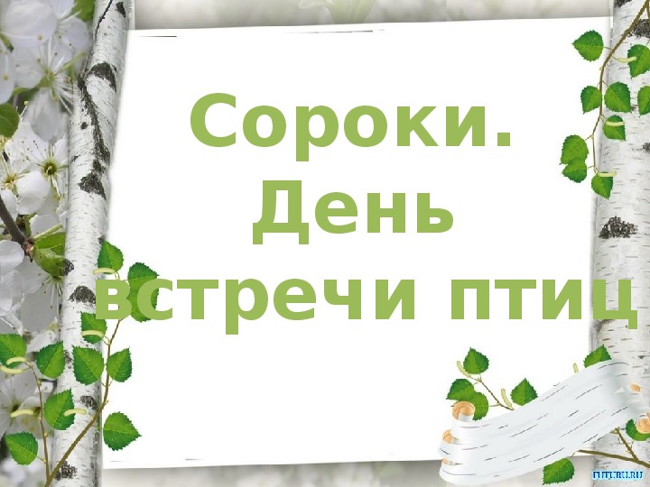 Обложка для материала Классный час "Сороки. День встречи птиц"