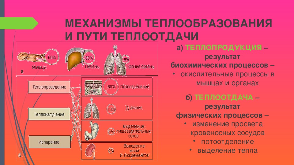 Карта сестринской оценки состояния пациента в терапии пример