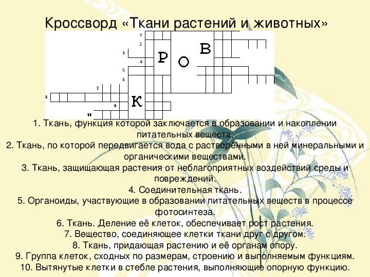 Плотная шерстяная ткань кроссворд. Кроссворд по тканям растений.