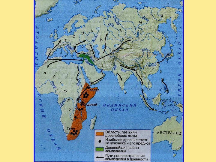 Карта происхождение человека