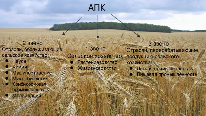 Агропромышленный комплекс география 9