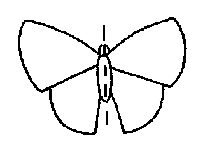 Рисунок осевой симметрии бабочка