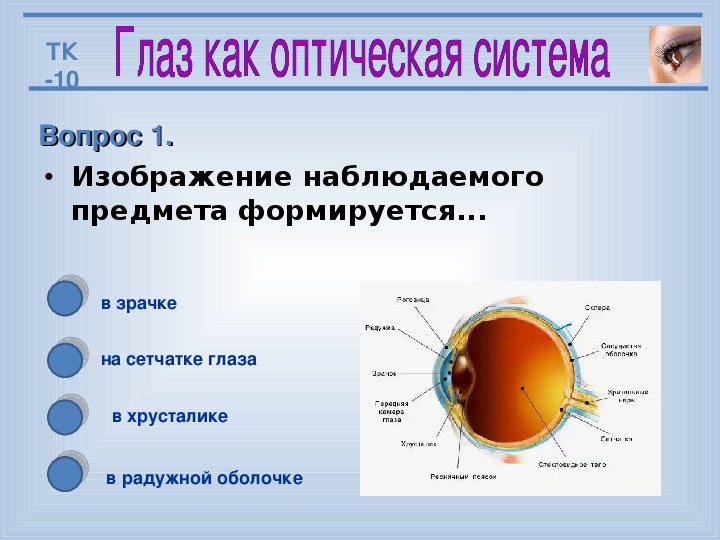 Какое изображение предмета формируется на сетчатке