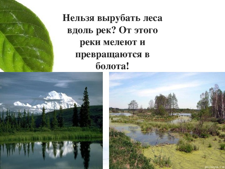 "Мы - за чистое село"Работа по экологии.