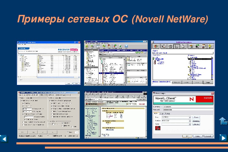 Программное обеспечение 10