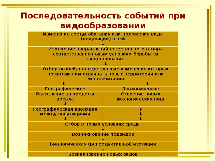 Видообразование как результат эволюции презентация 11 класс