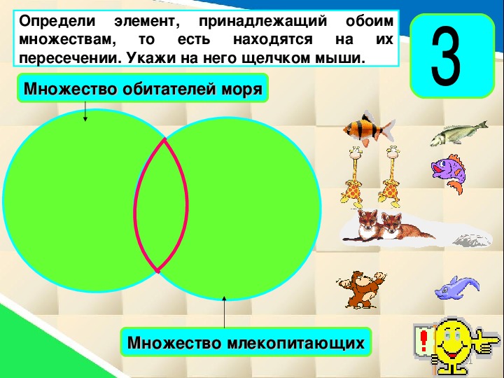 Множества в математике презентация