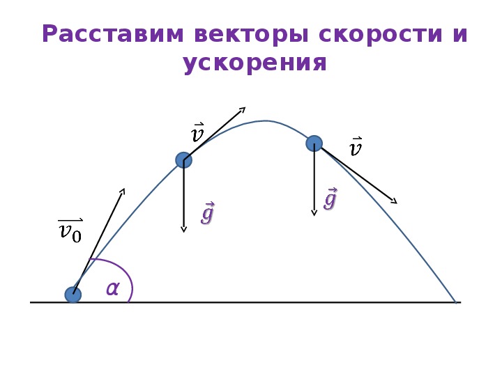 Как направлены векторы скорости. Скорость вектор. Вектор скорости формула. Вектор скорости это в физике. Определите направление вектора скорости.