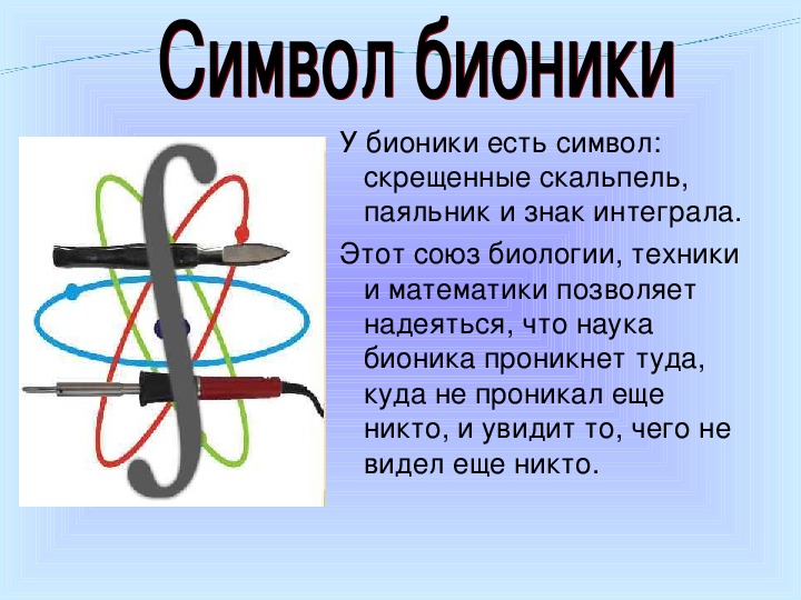 Бионика презентация по биологии