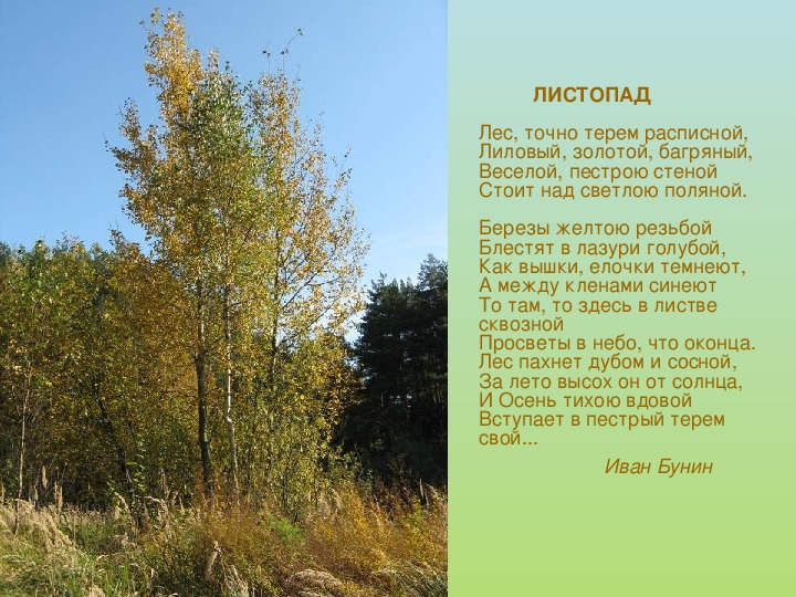 Стихи про осень для 3 класса русских поэтов - Стихи для детей