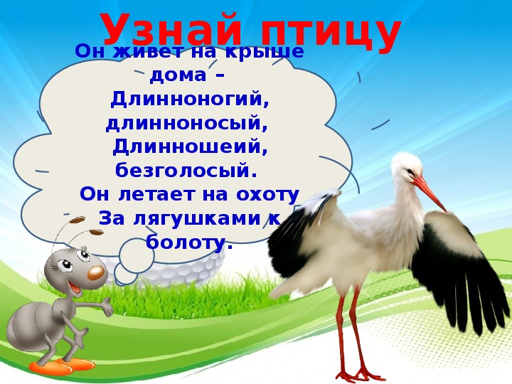 Кто такие птицы