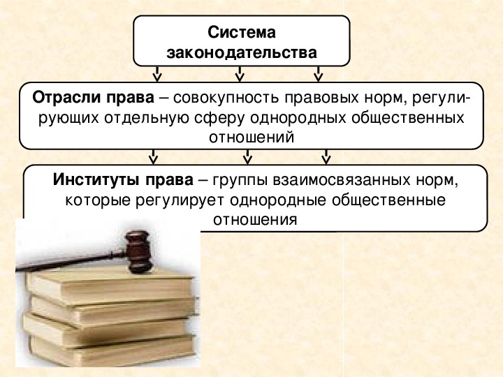 Нормы и отрасли права 7 класс обществознание презентация