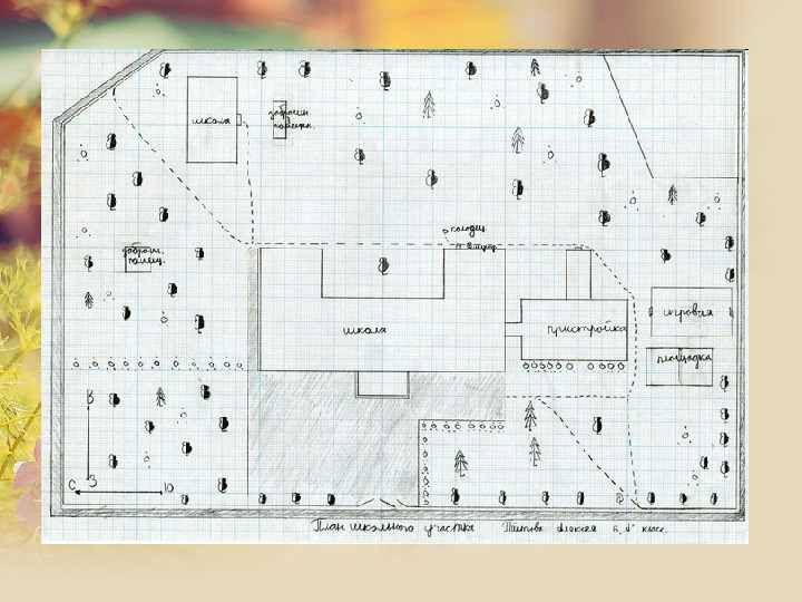 План местности школы номер 5