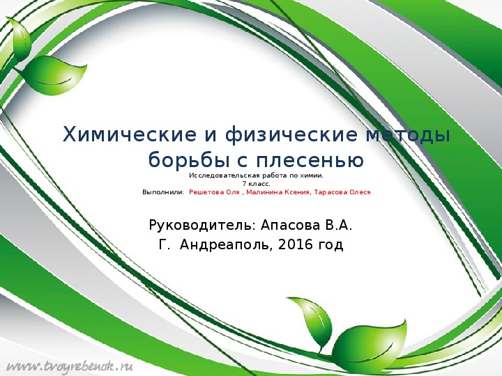 Исследовательская работа на тему "Химические и физические методы борьбы с плесенью". Презентация.