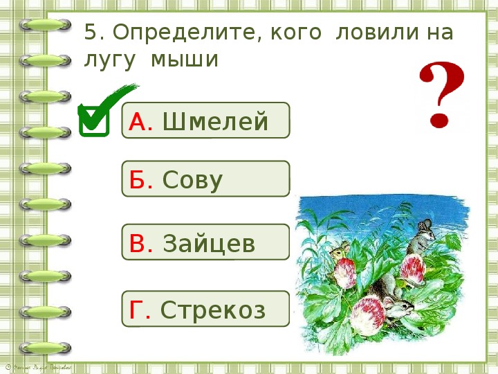 Тест Бианки Сова 2 класс школа России. Тест по тексту Сова Бианки 2 класс.