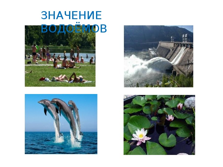 Что относится к водоемам