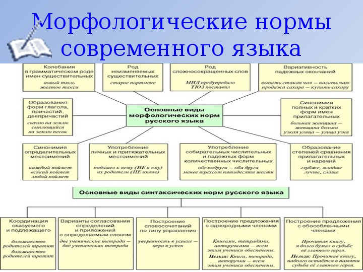 Морфологические нормы литературного языка. Морфологические нормы современного русского языка. 7. Морфологические нормы.