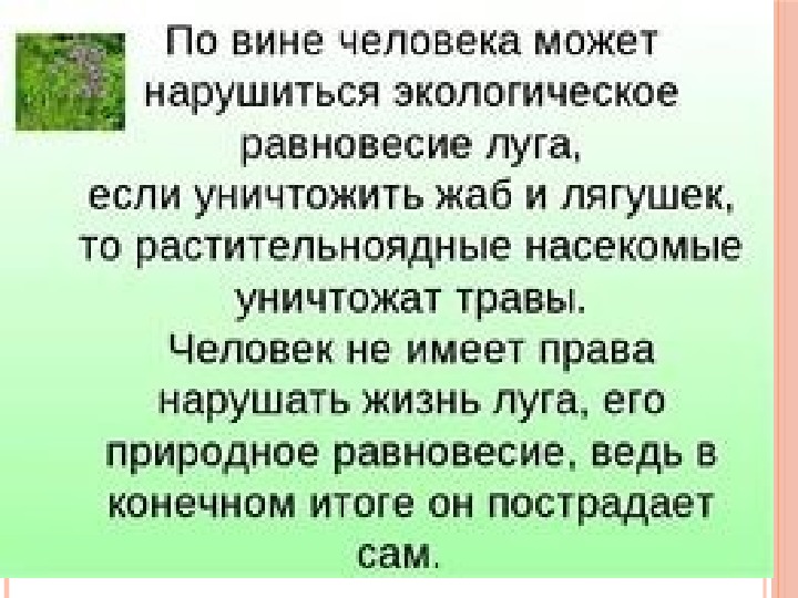 План изучения природного сообщества окружающий 4 класс