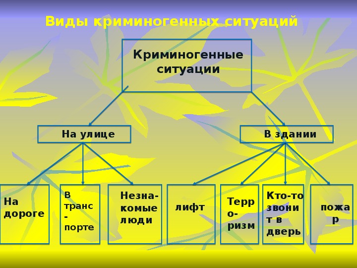 Презентация ситуация криминогенного характера